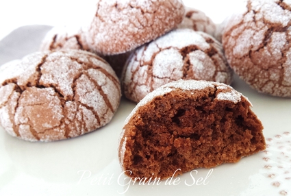Recette biscuits crinkles au chocolat (biscuits)
