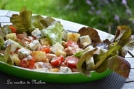 Recette de salade tomates cerise, poulet, croûton et gorgonzola