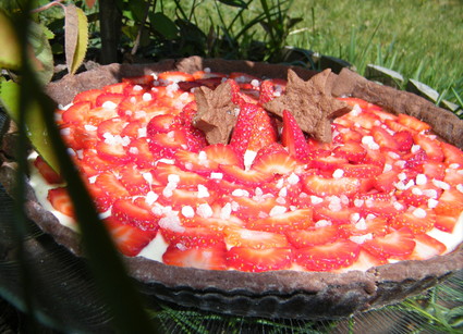 Recette de tarte panna cotta rhubarbe aux fraises