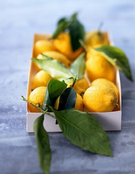 Mini-délices au citron