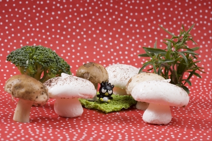 Recette de meringues champignons au cacao facile et rapide
