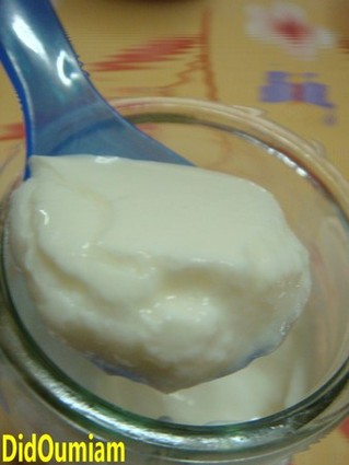 Recette yaourt nature