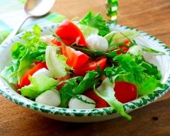 Recette salade tomates mozzarella