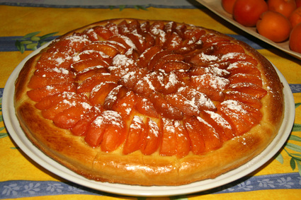 Recette de tarte fine briochée aux abricots