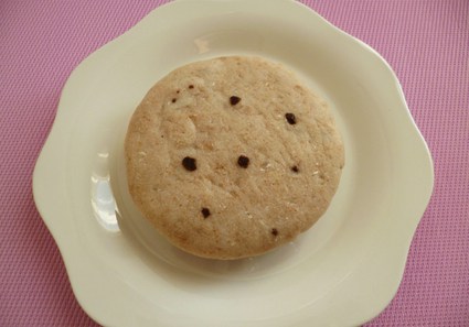 Cookie-cake cru coco chocolat psyllium hyperprotéiné sans gluten
