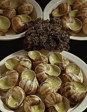 Escargots de bourgogne pour 8 personnes