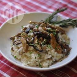 Recette risotto aux champignons sauvages – toutes les recettes ...