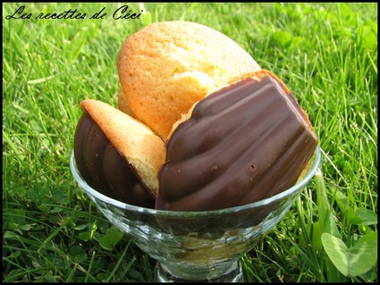 Recette de madeleine vanille, tonka et sa coque chocolatée