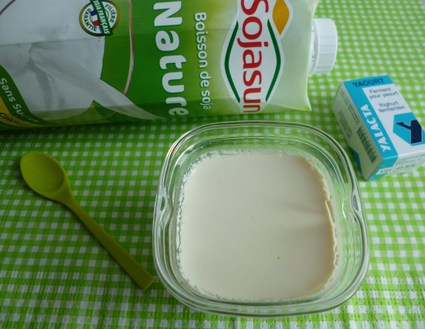 Recette yaourt léger au soja, végétarien et sans gluten