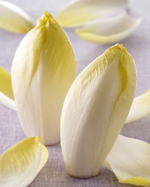 Tarte feuilletée aux endives pour 4 personnes