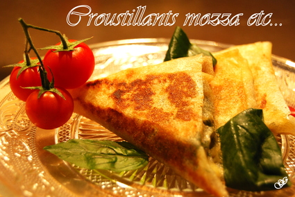 Recette de samoussas à la mozzarella, jambon cru et tomates ...