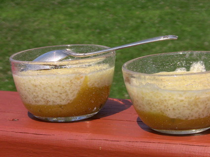Recette de gâteau au tapioca et à la mangue