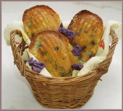 Recette de madeleines à la violette