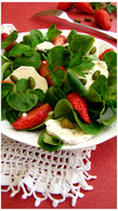 Recette de salade de mâche au chèvre, aux fraises et pistaches