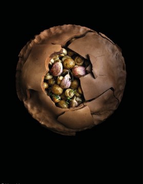 Pommes de terre et champignons en croûte d'argile pour 6 personnes