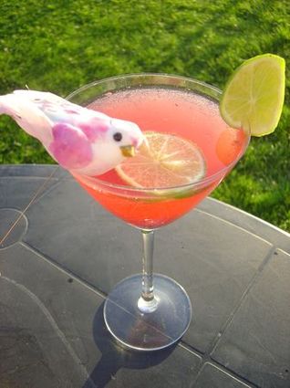 Recette de cocktail raspberry