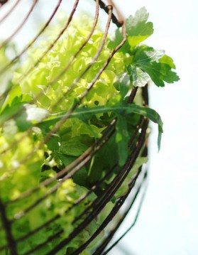 Salade aux légumes