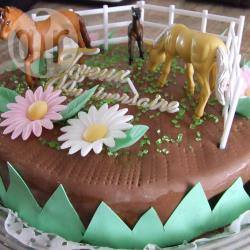 Recette gâteau d'anniversaire chevaux – toutes les recettes ...