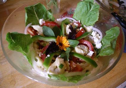 Recette de raviolis en salade