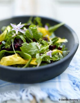 Salade de fleurs et légumes croquants pour 6 personnes