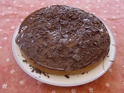 Gâteau au chocolat sans oeufs