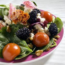 Recette salade d'épinards aux mûres – toutes les recettes allrecipes
