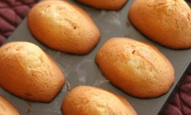 Madeleines aux citrons