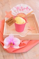 Recette yaourt glacé à la mangue et au lait de coco