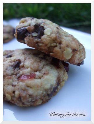Recette de cookies choco-cranberries et flocons d'avoine
