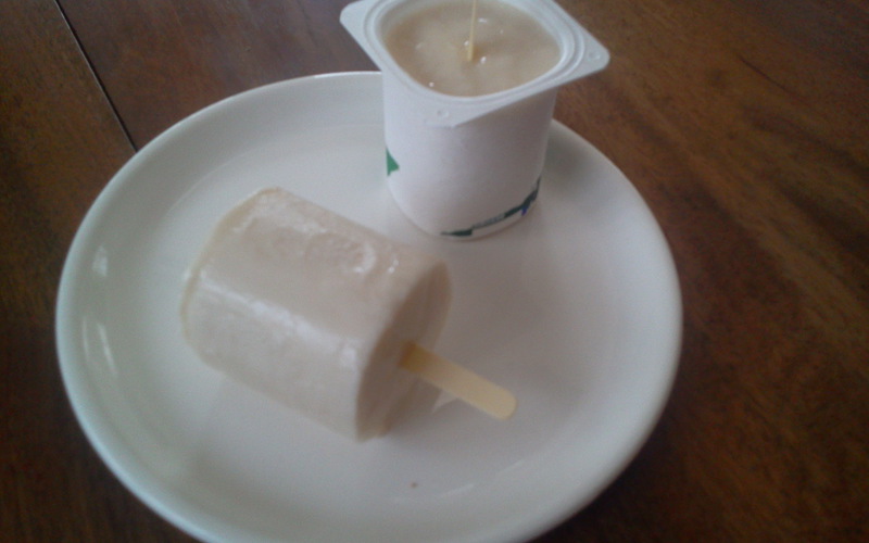 Recette yaourts glacés fruités pas chère et facile > cuisine étudiant