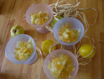 Recette de sorbet pomme avec morceaux glacés au citron