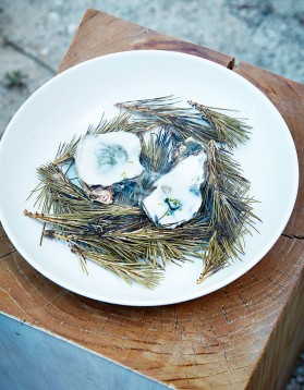 Huîtres fumées au pin, mousse coco pour 4 personnes