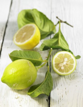Dinde grillée au citron vert