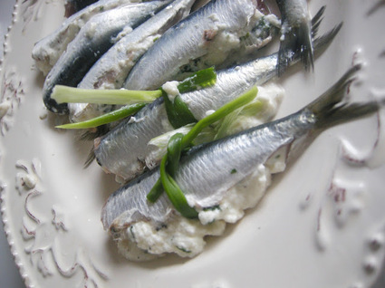 Recette de sardines au brousse