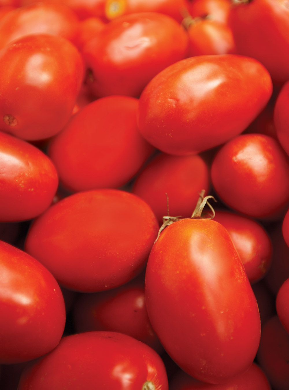 Potage aux tomates et aux haricots blancs | ricardo