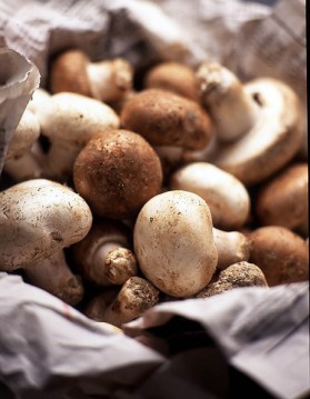 Fricassée de pommes de terre forestières aux champignons ...