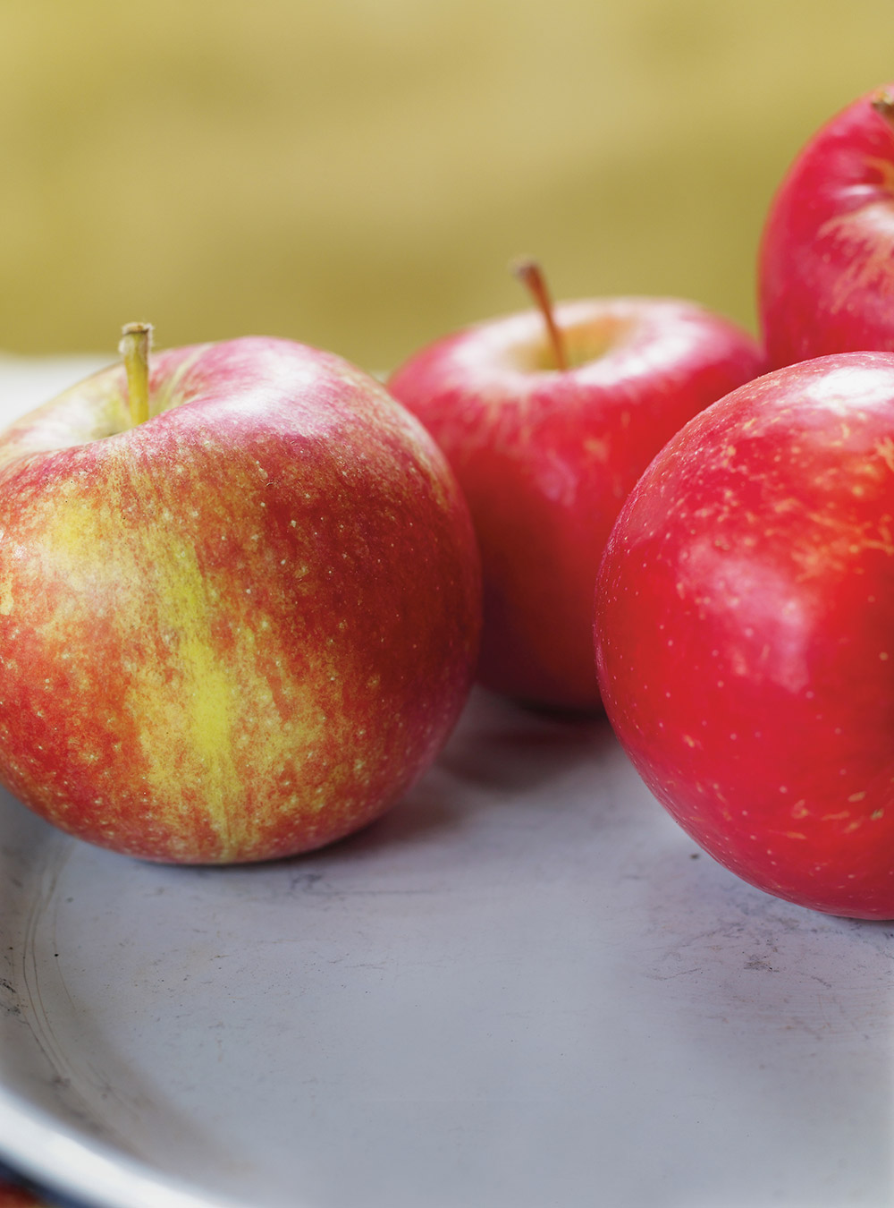 Marmelade de pommes | ricardo