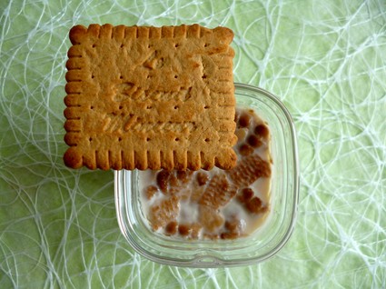 Recette yaourts maison allégés aux biscuits minceur diététiques et ...