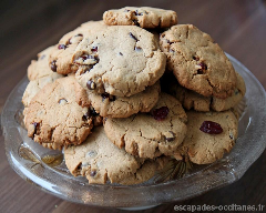 Biscuits à la farine de châtaigne pépites de chocolat et cranberries