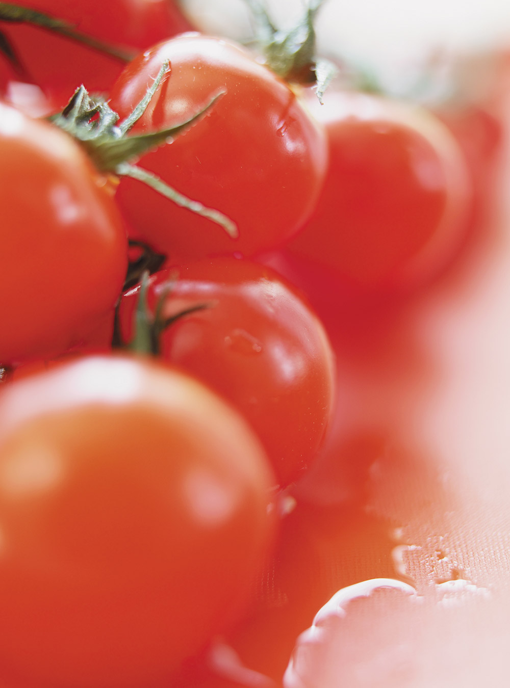 Tomates farcies aux haricots blancs | ricardo