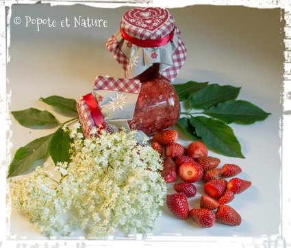 Recette de confiture aux fleurs de sureau et aux fraises