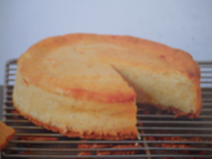 Recette cheesecake au spéculoos (tarte dessert)