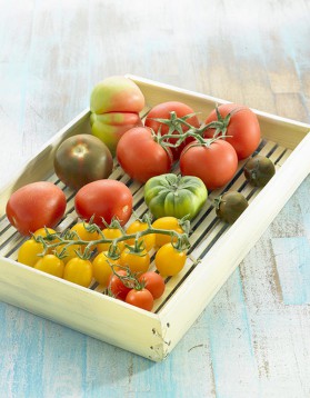 Barbue andalouse à la tomate pour 6 personnes