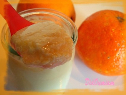 Recette yaourt au curd d'orange