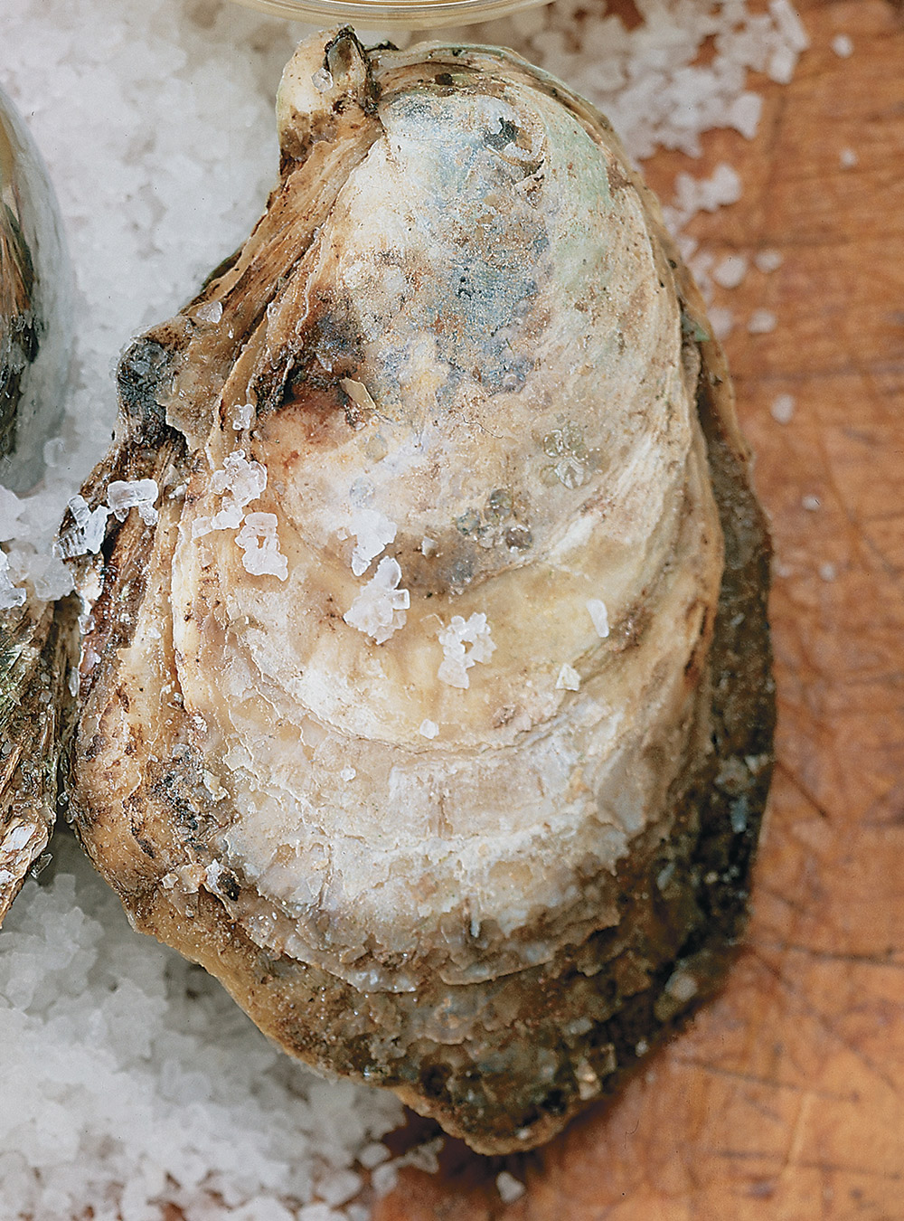 Soupe aux huîtres gratinée (pour apprêter un reste d'huîtres servies ...
