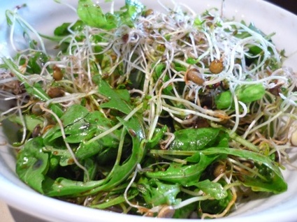 Recette de salade de graines germées au balsamique