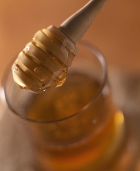 Sorbet au miel et aux 3 fruits secs