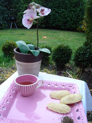 Recette de madeleines au thé vert