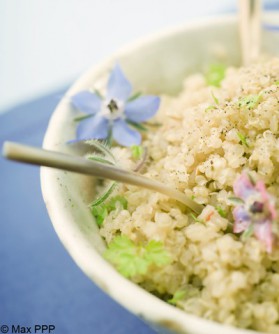 Salade de quinoa au speck et pesto pour 4 personnes