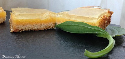 Recette de tarte revisitée au citron vert et gelée de basilic